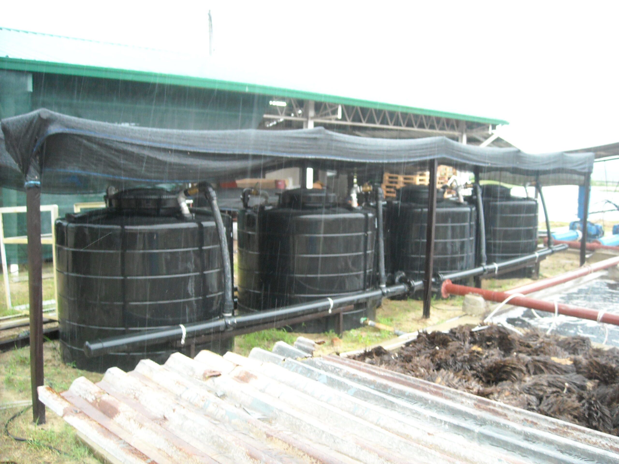 DSCN1848