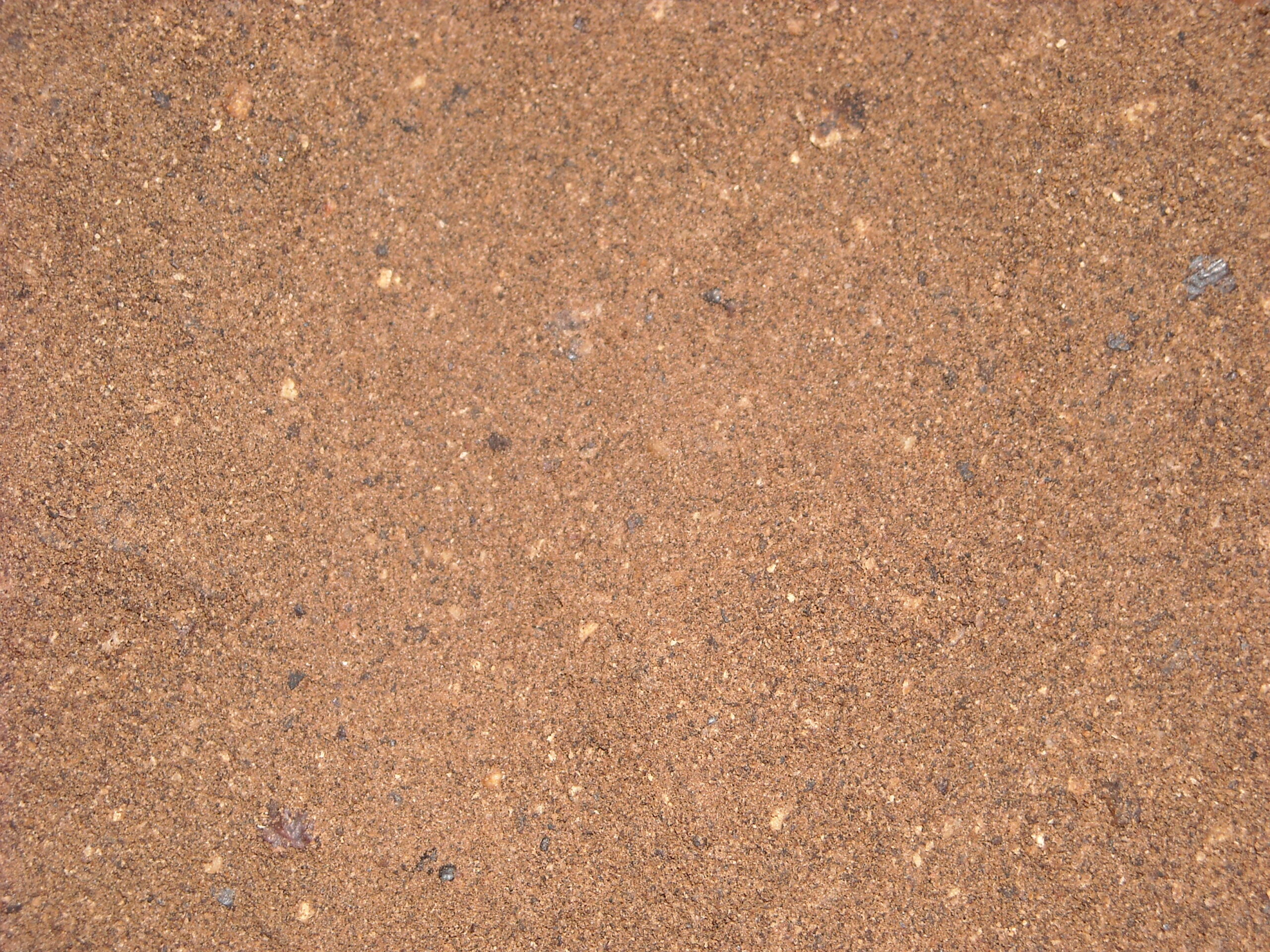 DSCN1910