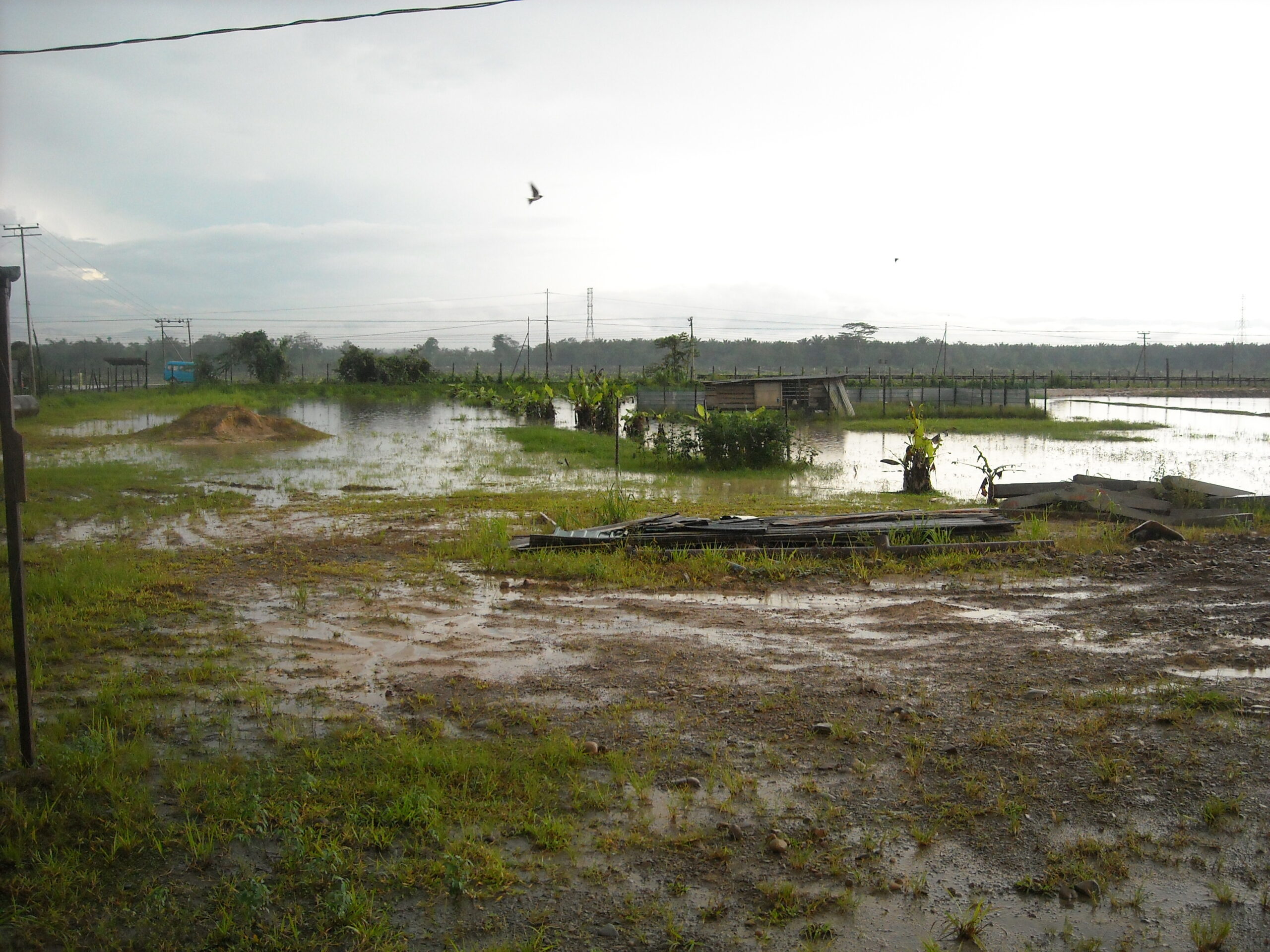 DSCN1938