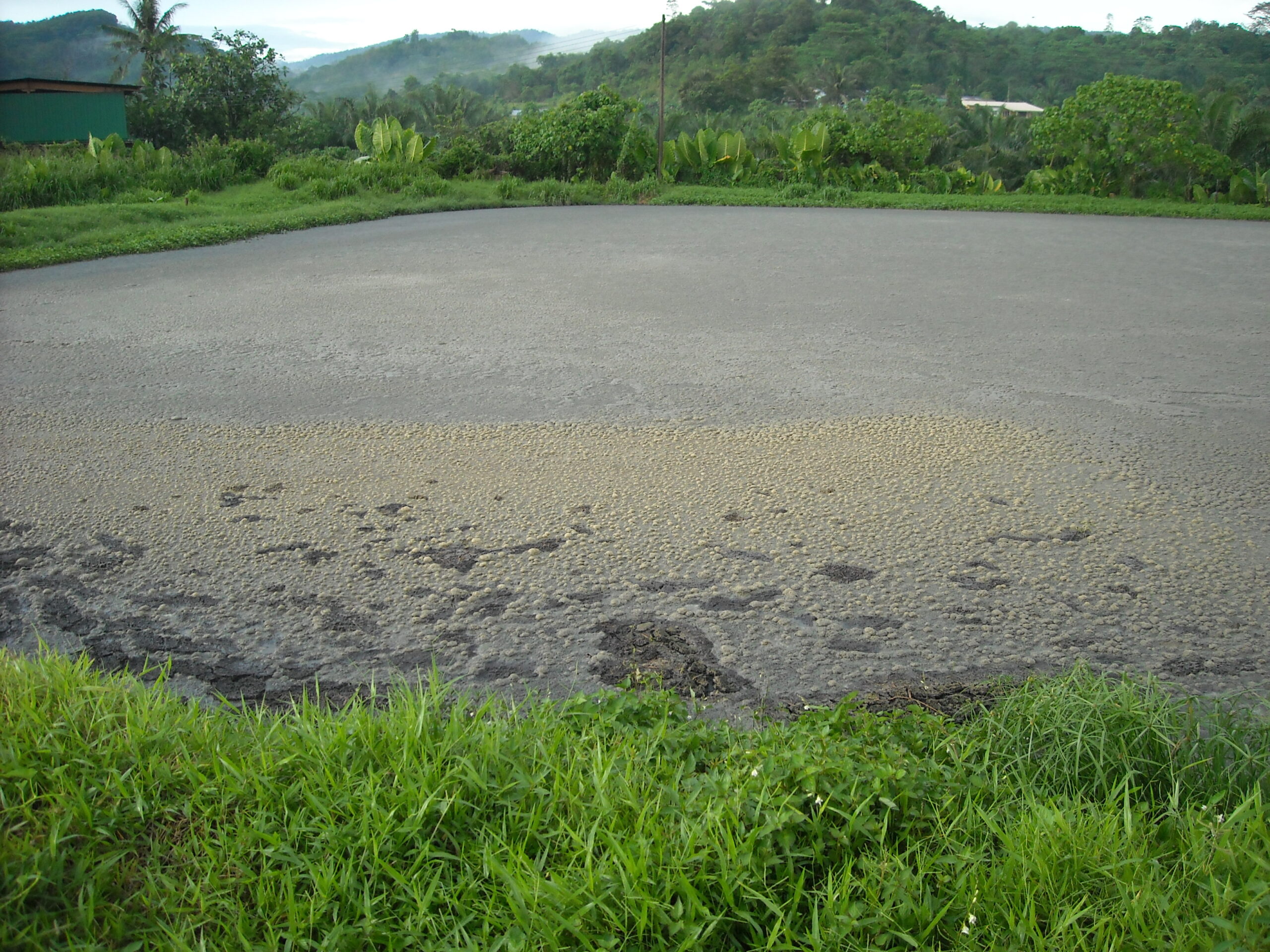 DSCN1974