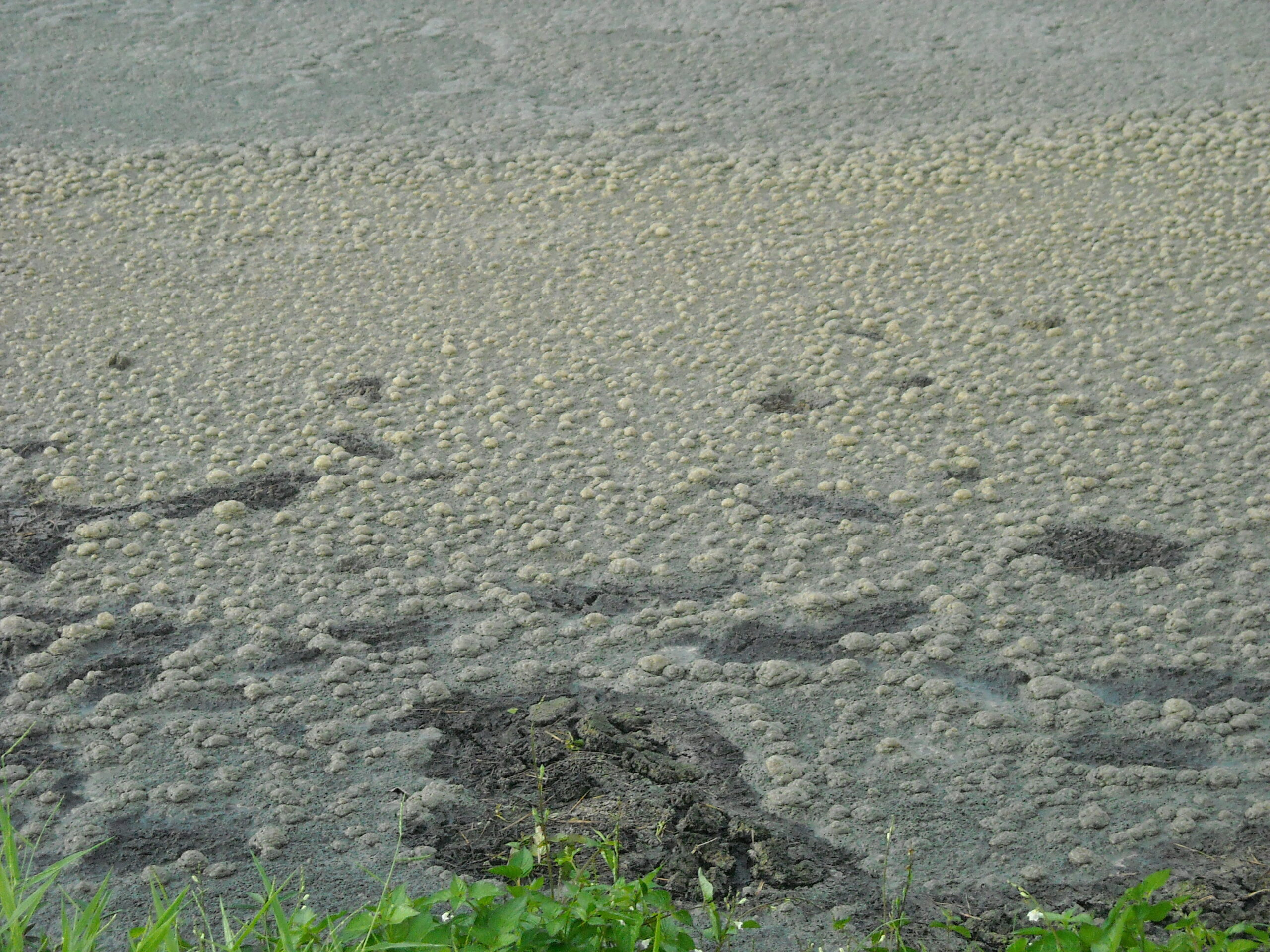 DSCN1976