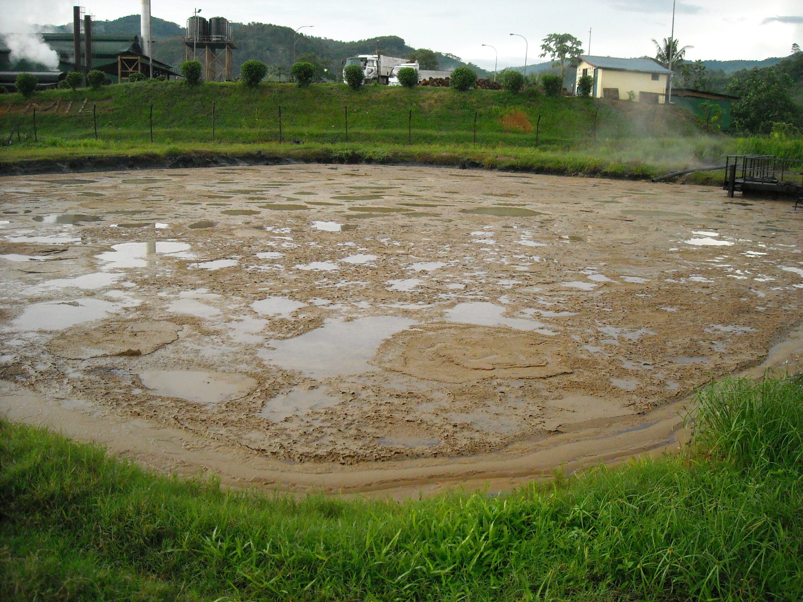 DSCN1984
