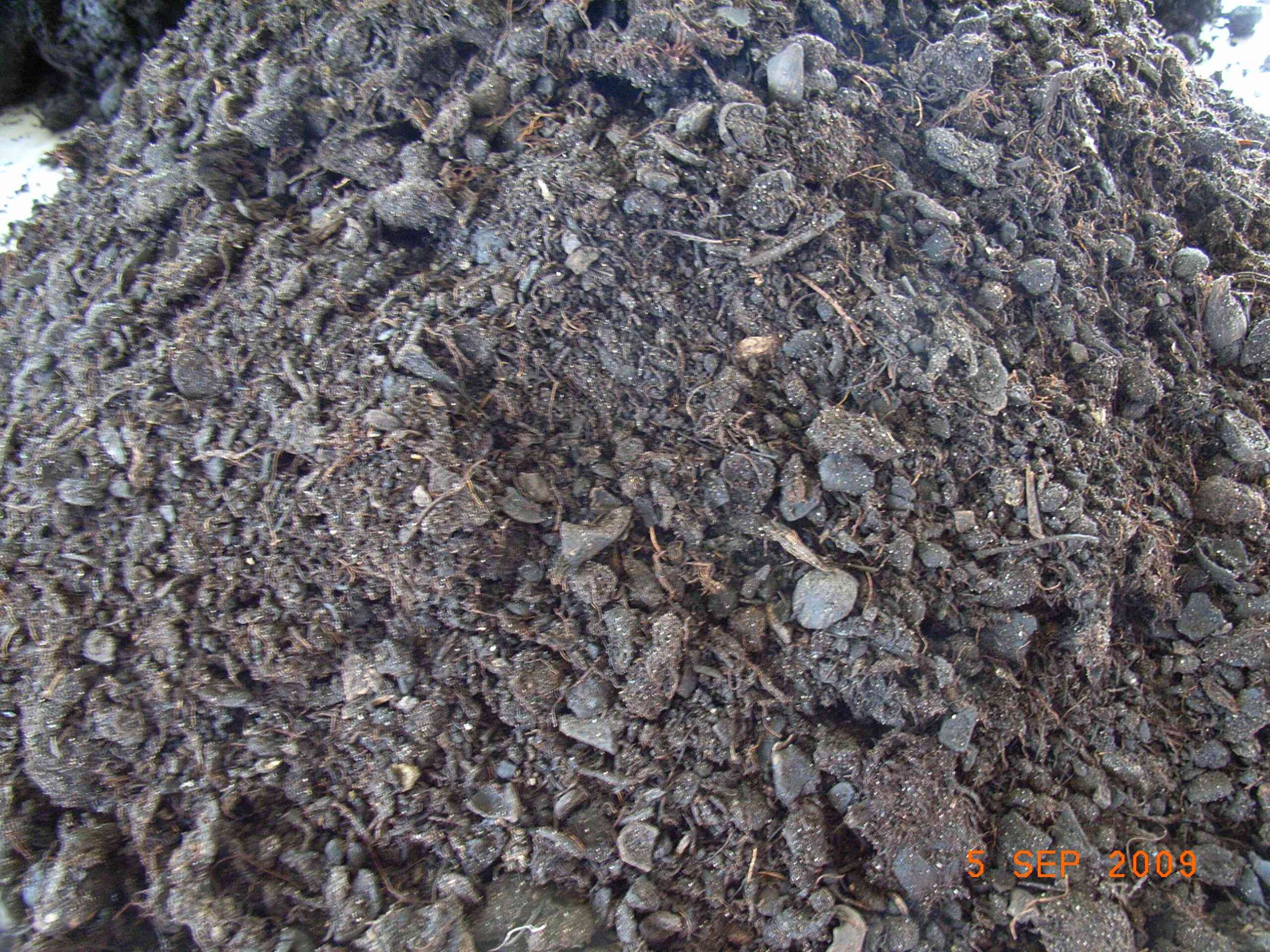 coarse_sieved7[1]