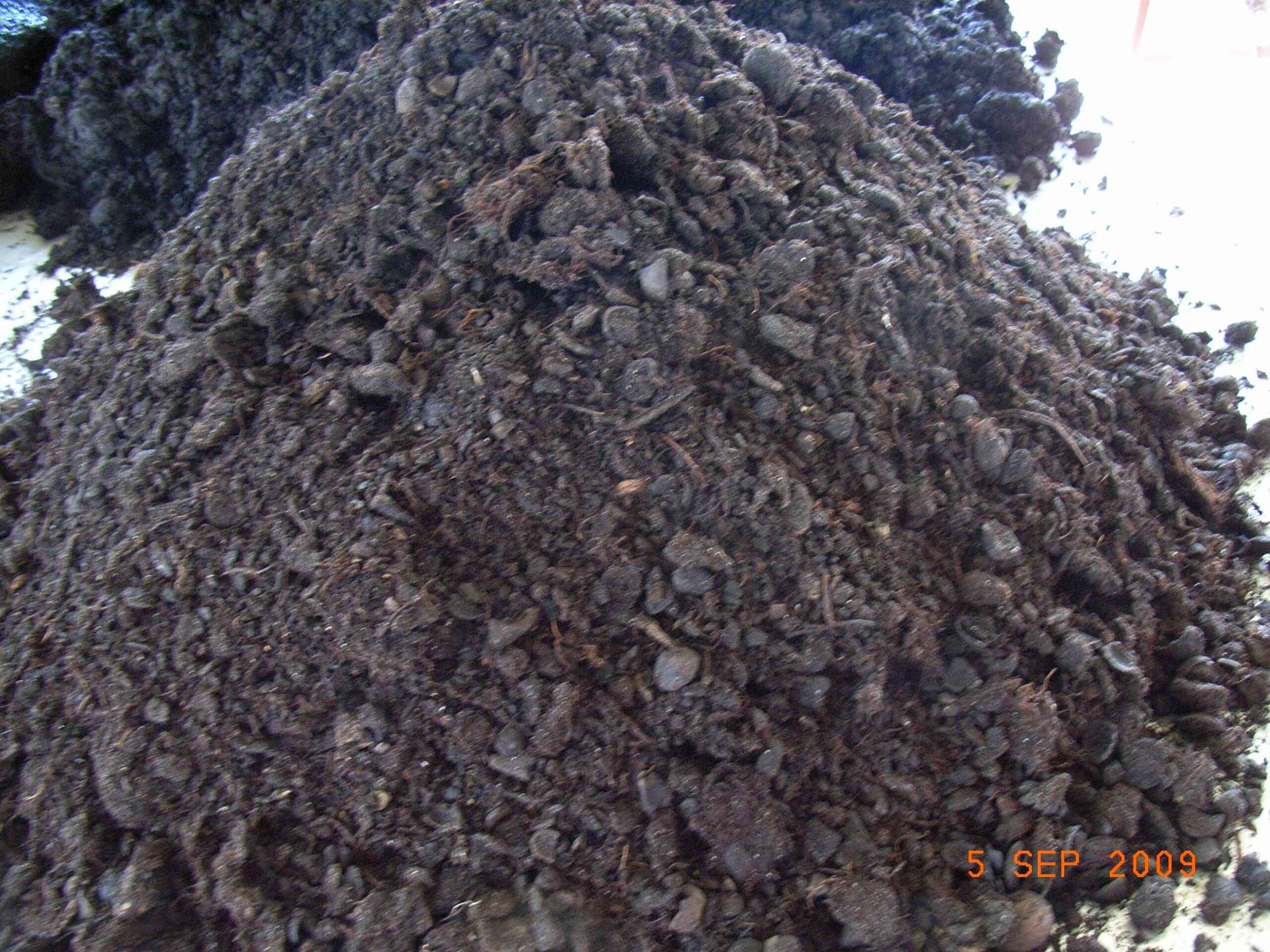 coarse_sieved8[1]
